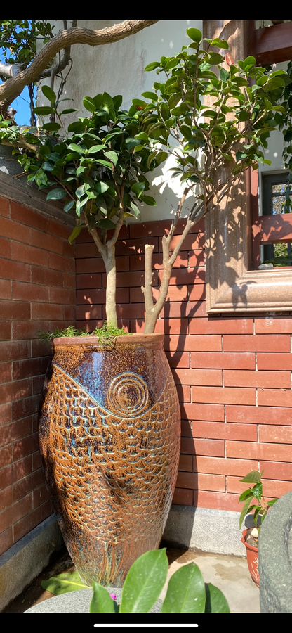 30#Fish-shaped tall tank/slender flower pot/green plant flower pot