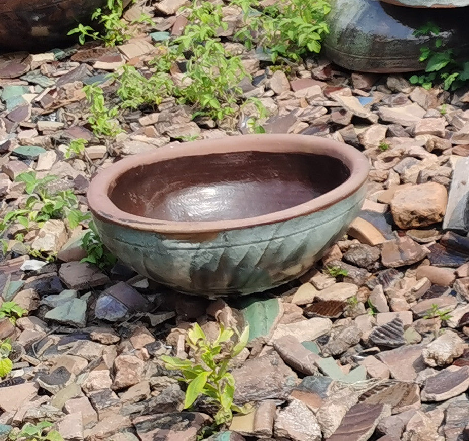 36#One-line shallow pot/glossy flower pot/small lotus pot/garden wash basin